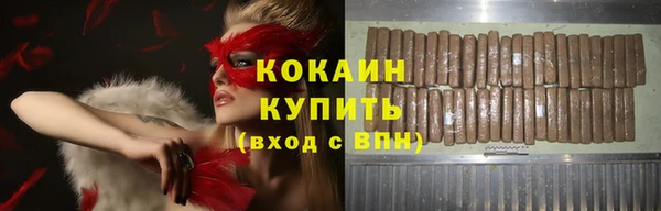 молекула духа Елизово