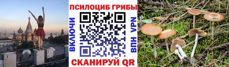 Галлюциногенные грибы Psilocybe  Арамиль 